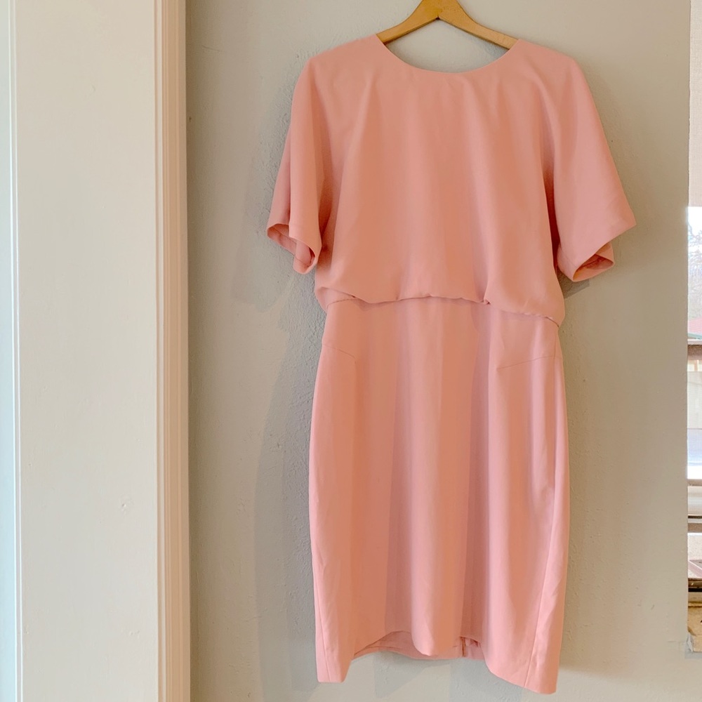 Banana Republic Pink Short Sleeved Dress